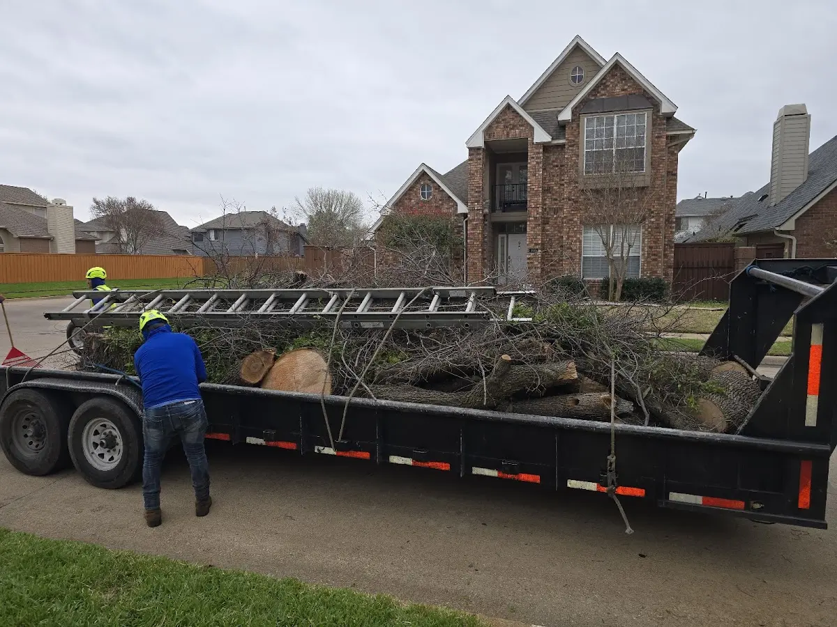 Expert Tree Pest Control with proper safety equipment in Laporte